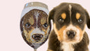 Personalized Glitter Wine Glass - Pet Portrait