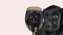 Personalized Glitter Wine Glass - Pet Portrait